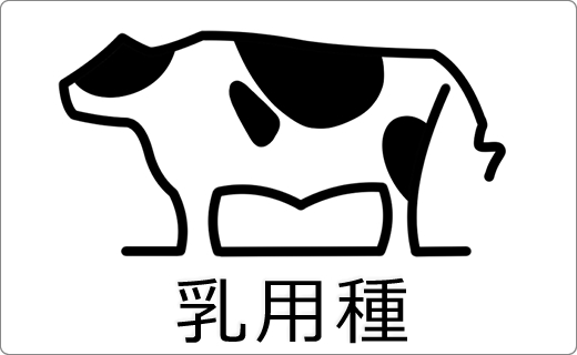 ホルスタイン♪ ②CE28NF 18インチ 1本 2023年2月 新規検定済ホルスタイン種雄牛紹介 | GH-CONTENT