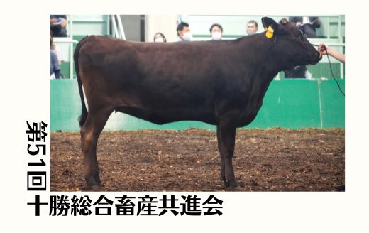 第51回十勝総合畜産共進会《勝美糸》 | GH-CONTENT