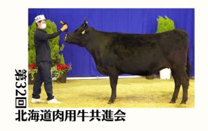 ジェネティクス北海道　第32回北海道肉用牛共進会