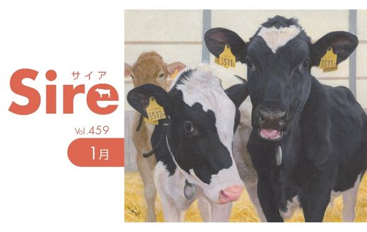 花牛 全金フェザー 小 右向き ※使用感あり 【取扱：名古屋大須店