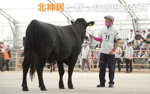 北神居と戦った鹿児島全共 その2 ―鹿児島道中から全共本番― | GH-CONTENT