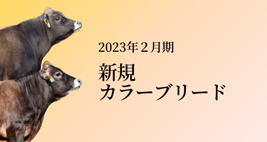 ジェネティクス北海道　2023年2月期　新規カラーブリード