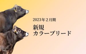 ジェネティクス北海道　2023年2月期　新規カラーブリード