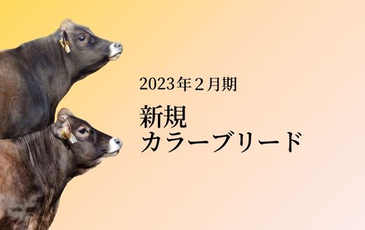 2023年2月 新規カラーブリード紹介 | GH-CONTENT