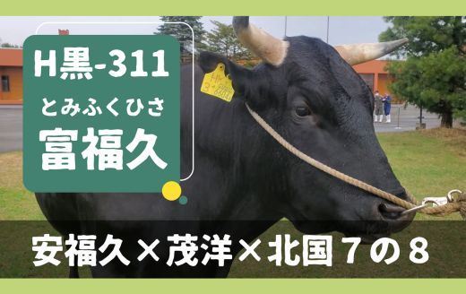 牛さん 田園 on X: 