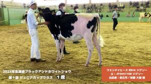 2023年北海道ブラックアンドホワイトショウ《ジグソー》 | GH