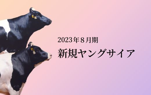 2023年8月 新規ヤングサイア紹介 | GH-CONTENT