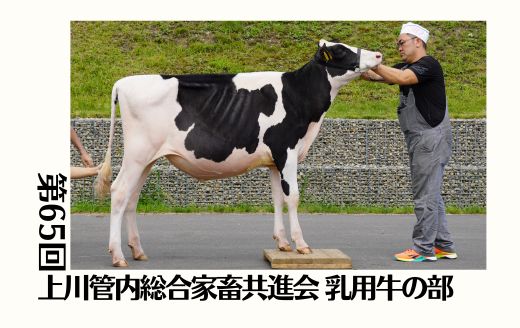 第65回上川管内総合家畜共進会 乳用牛の部《カプレゼ》 | GH-CONTENT