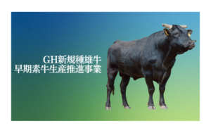 ジェネティクス北海道　GH新規種雄牛早期素牛生産推進事業