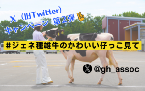ジェネティクス北海道　Ｘキャンペーン　#ジェネ種雄牛のかわいい仔っこ見て