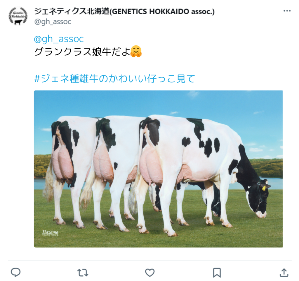 ジェネティクス北海道　Ｘキャンペーン　#ジェネ種雄牛のかわいい仔っこ見て　投稿例