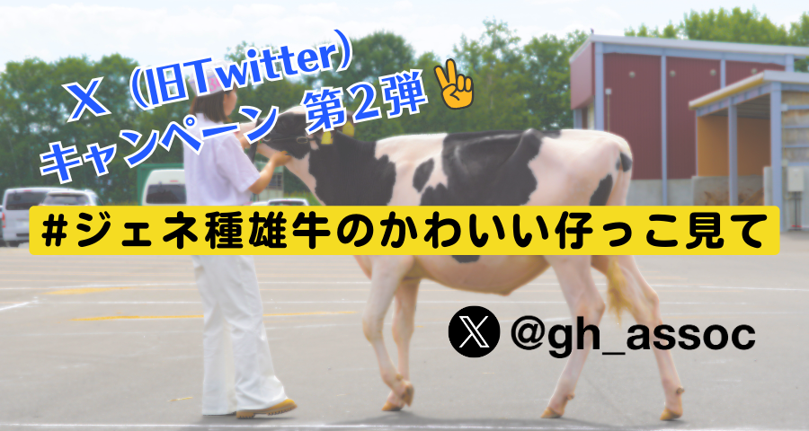 ジェネティクス北海道　Ｘキャンペーン　#ジェネ種雄牛のかわいい仔っこ見て