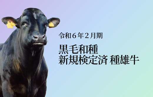 令和6年2月期 新規黒毛和種種雄牛紹介 | GH-CONTENT