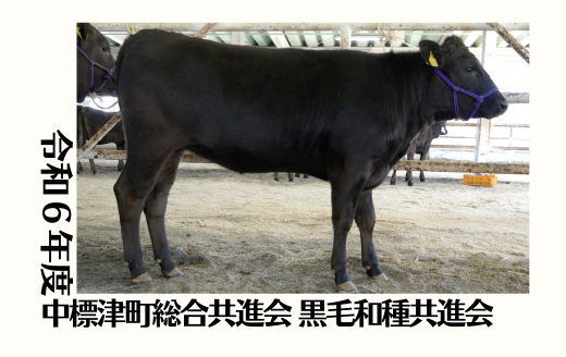 令和6年度中標津町農協総合共進会 第22回黒毛和種共進会《北美津久