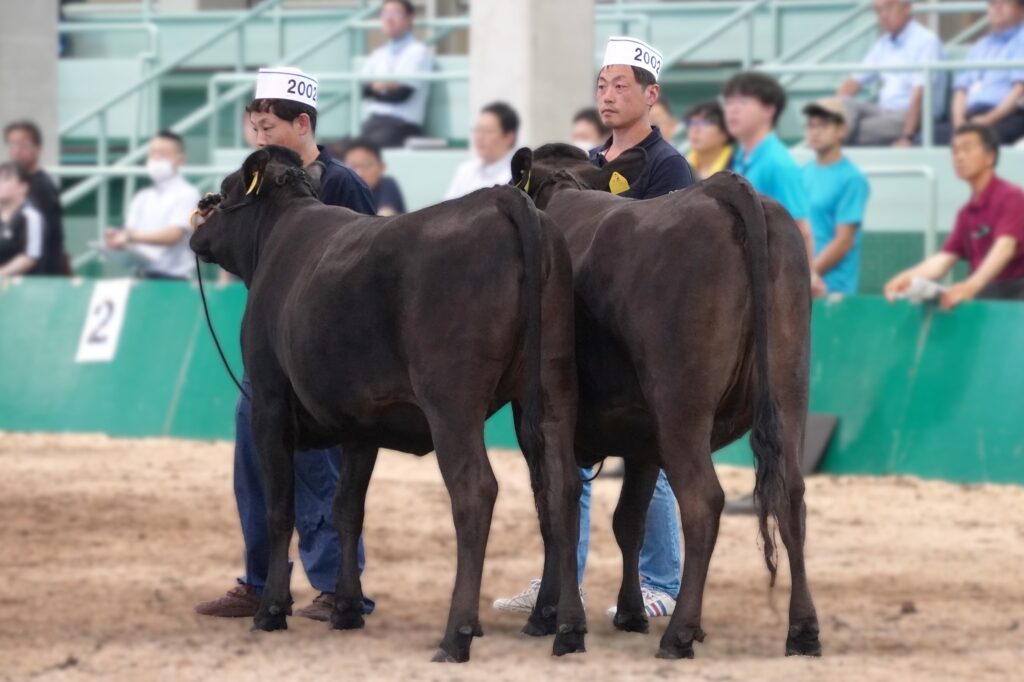 ジェネティクス北海道　英貞産子写真　山田卓様