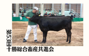 ジェネティクス北海道　第53回十勝総合畜産共進会