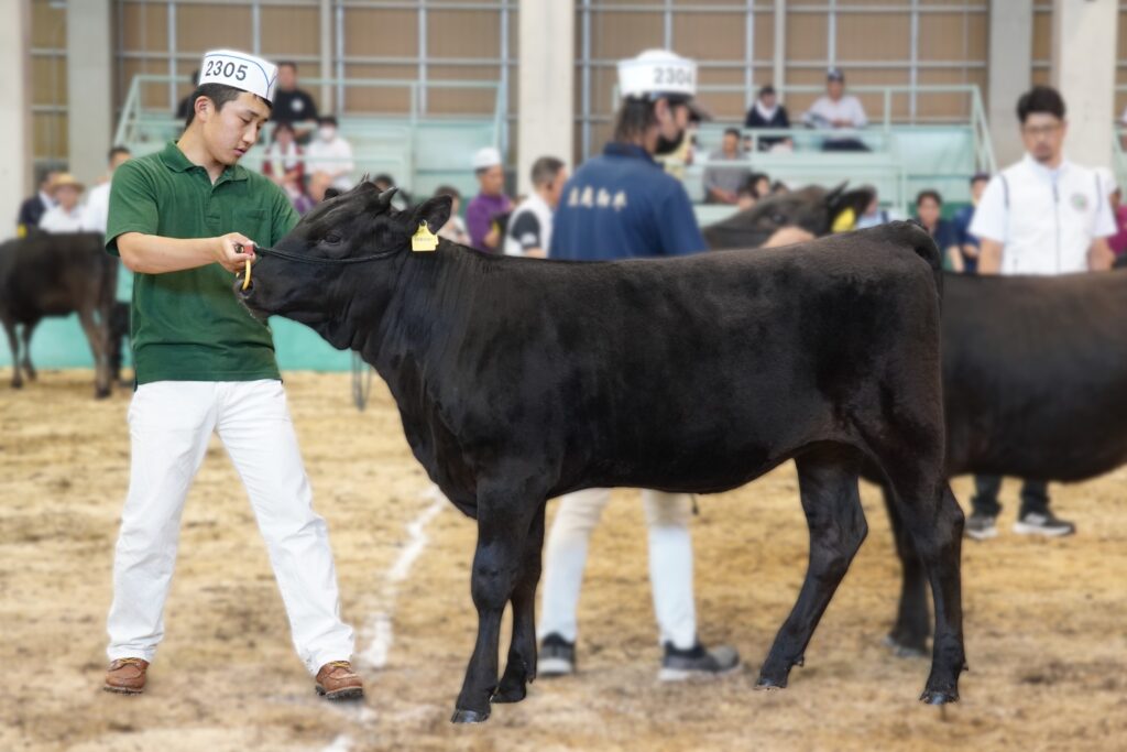 ジェネティクス北海道　勝早桜５産子写真　株式会社武隈ブリーディングファーム様