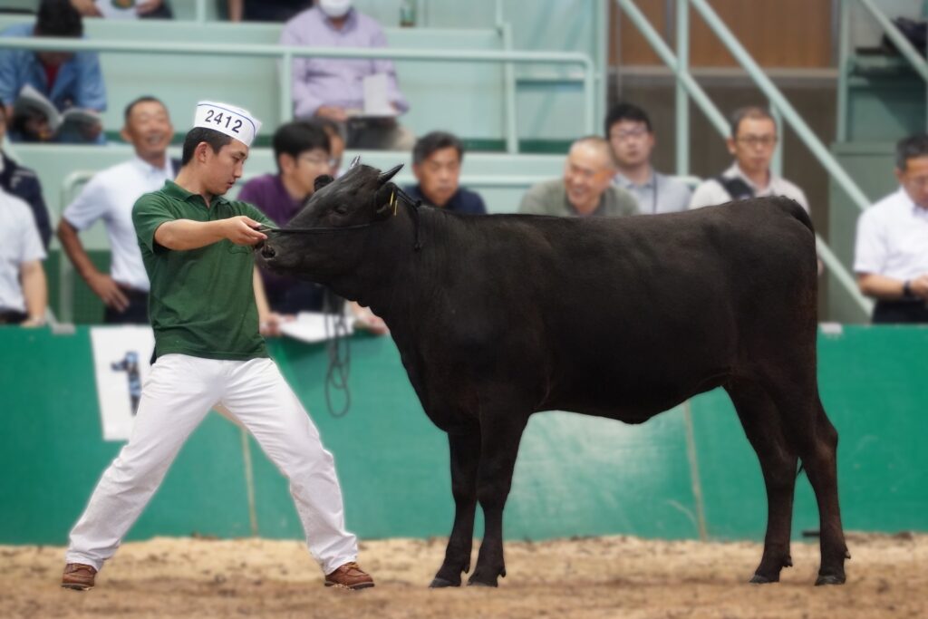 ジェネティクス北海道　北平安産子写真　株式会社武隈ブリーディングファーム様