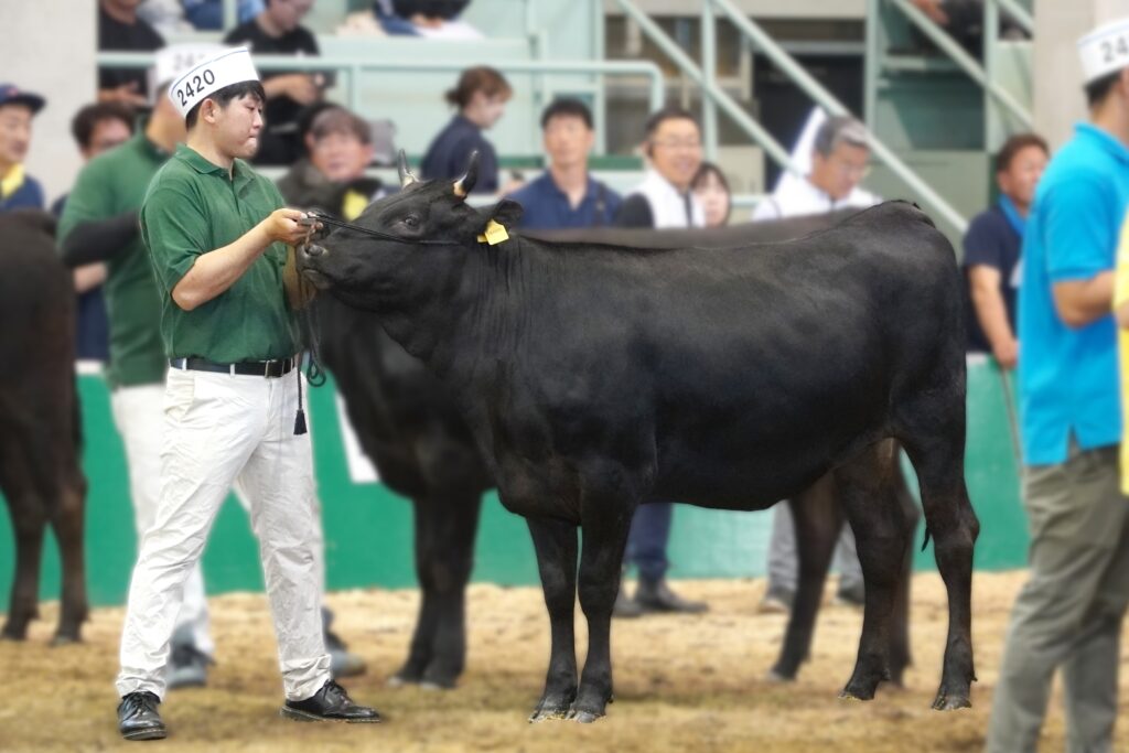 ジェネティクス北海道　英貞産子写真　株式会社武隈ブリーディングファーム様