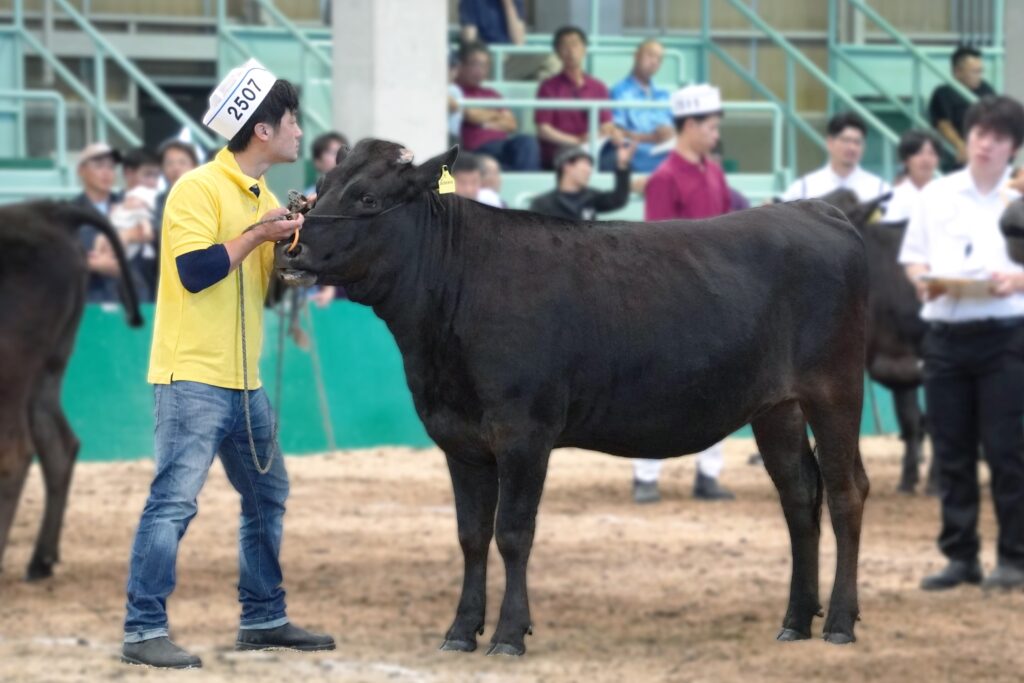 ジェネティクス北海道　英貞産子写真　多田将平様