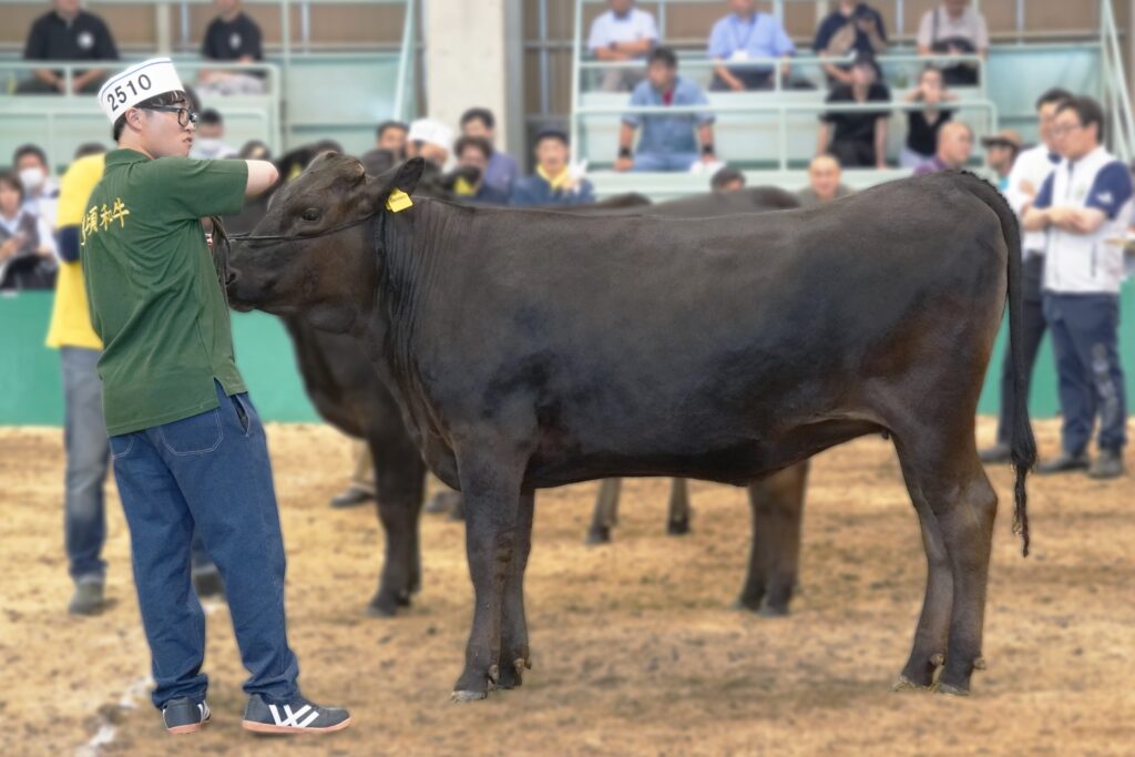 ジェネティクス北海道　勝美糸産子写真　愛沢利憲様