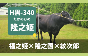 ジェネティクス北海道　H黒-340 隆之姫