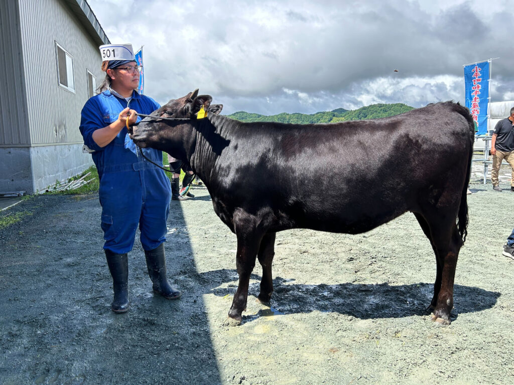 ジェネティクス北海道　北美津久産子写真　前崎正弘様