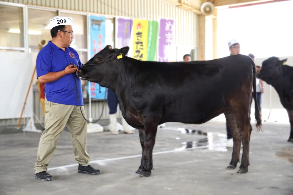 ジェネティクス北海道　軆生丸産子写真　小野真司様