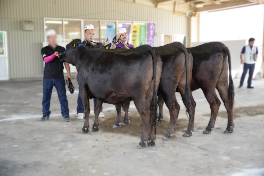 ジェネティクス北海道　勝早桜５産子写真　富盛裕之様