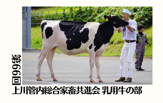 第66回上川管内総合家畜共進会 乳用牛の部《カプレゼ》 | GH-CONTENT
