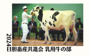 ジェネティクス北海道　2024日胆畜産共進会 乳用牛の部