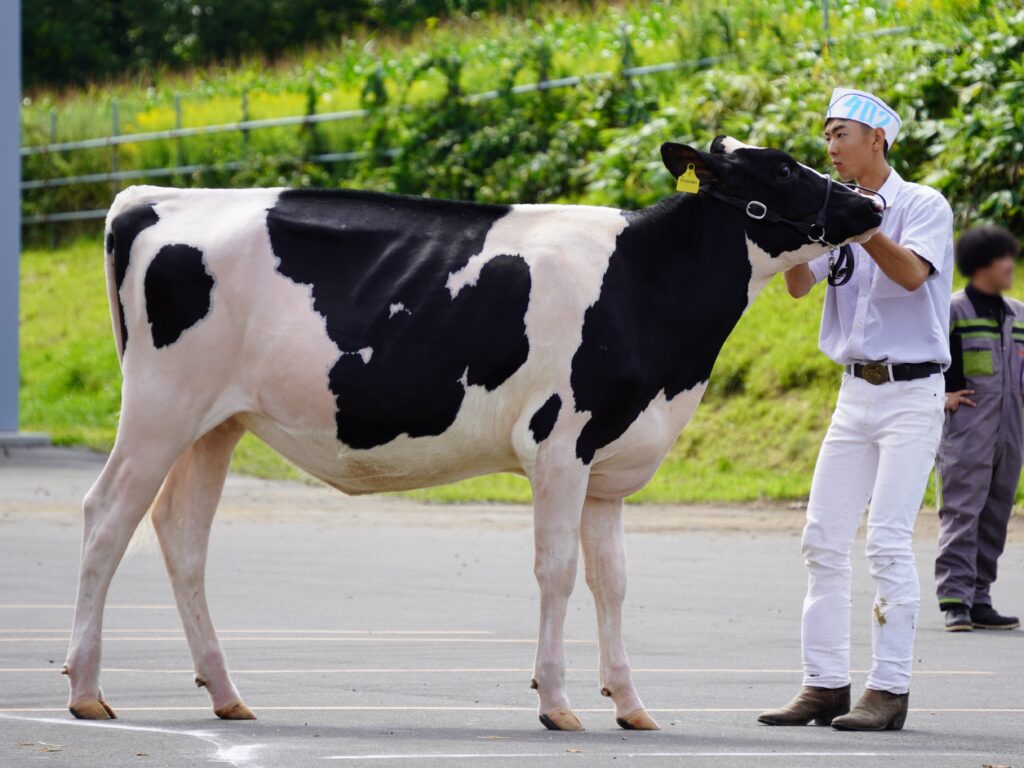 ジェネティクス北海道　カプレゼ娘牛　多田和宏様