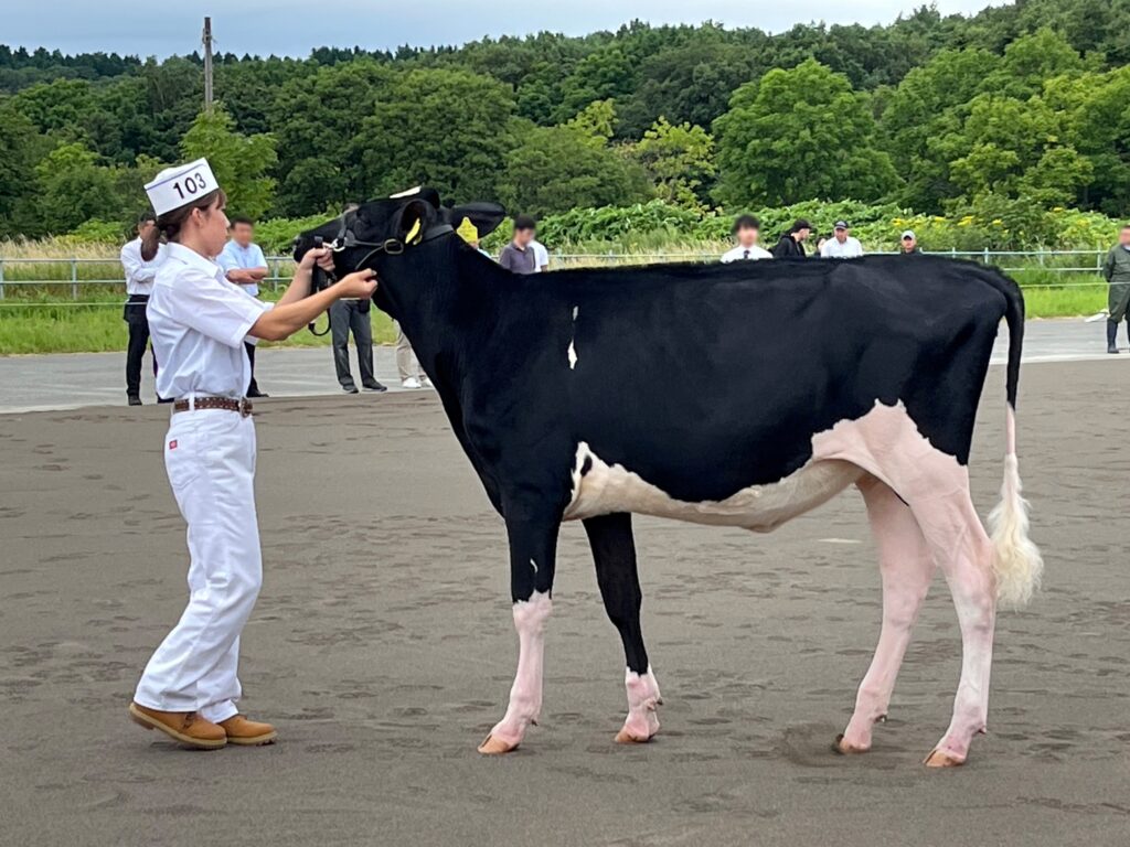 ジェネティクス北海道　リア娘牛写真　株式会社箱柳牧場様