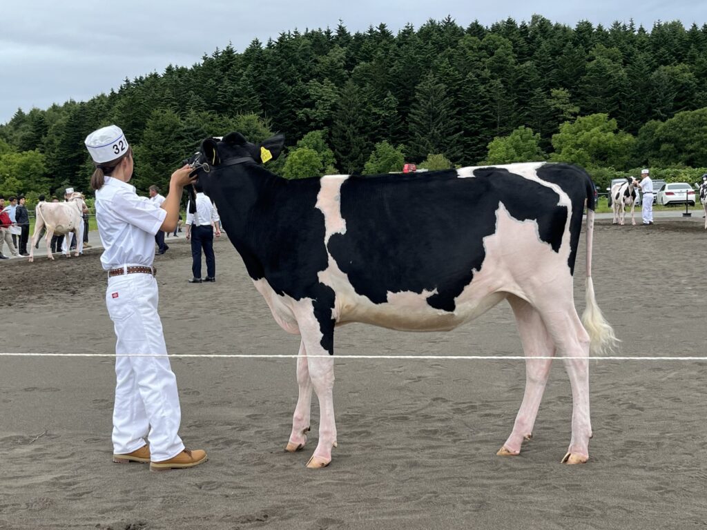 ジェネティクス北海道　カプレゼ娘牛写真　株式会社箱柳牧場様