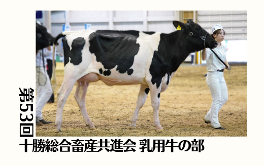 第53回十勝総合畜産共進会 乳用牛の部《カプレゼ・メリツト》 | GH-CONTENT