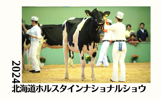 2024 デイリーエキスポ　ソフトシェル　ベスト　ホルスタイン　共進会 2024 デイリーエキスポベストホルスタイン酪農乳牛共進会
