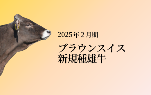 2025年2月 新規ブラウンスイス種紹介 | GH-CONTENT