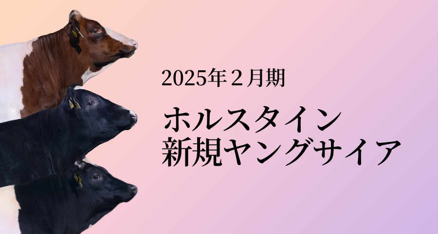 ジェネティクス北海道　2025年2月ホルスタイン新規ヤングサイア