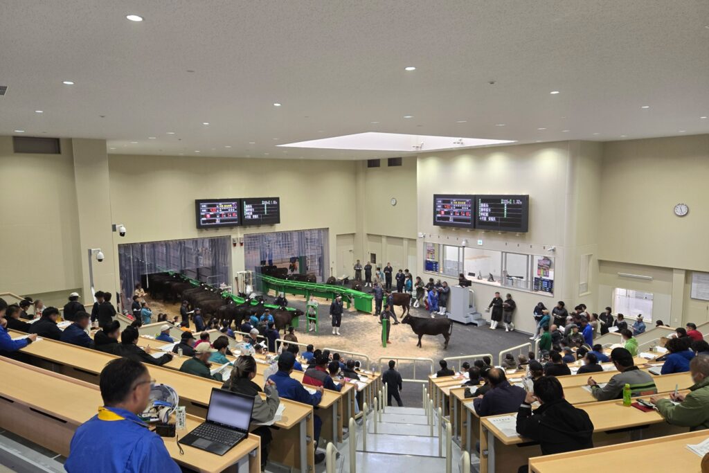 ジェネティクス北海道 新ホクレン十勝地区家畜市場 セリ場