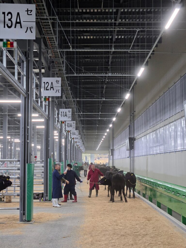ジェネティクス北海道 新ホクレン十勝地区家畜市場 購買牛舎
