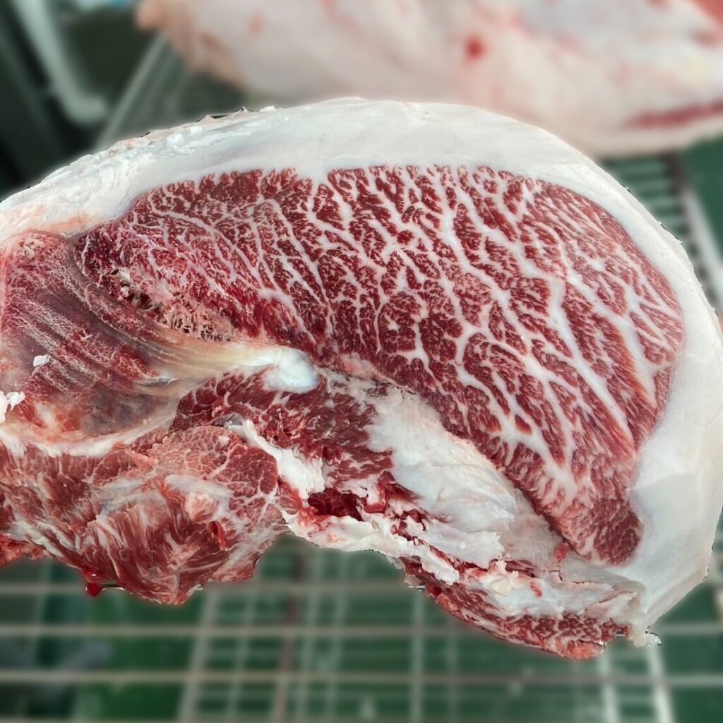 ジェネティクス北海道　隆之姫交雑産子枝肉写真　有限会社平和牧場様