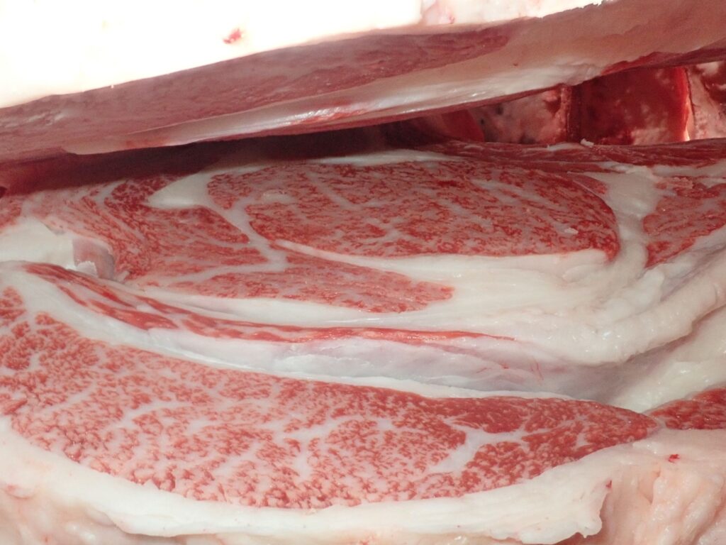 枝肉情報】第16回全国肉牛事業協同組合交雑種枝肉共励会《北美津久