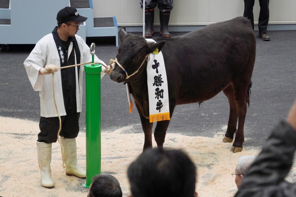 ジェネティクス北海道 新ホクレン十勝地区家畜市場 北美津久産子 千葉典弘さま