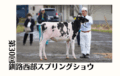 ジェネティクス北海道　第30回釧路西部スプリングショウ