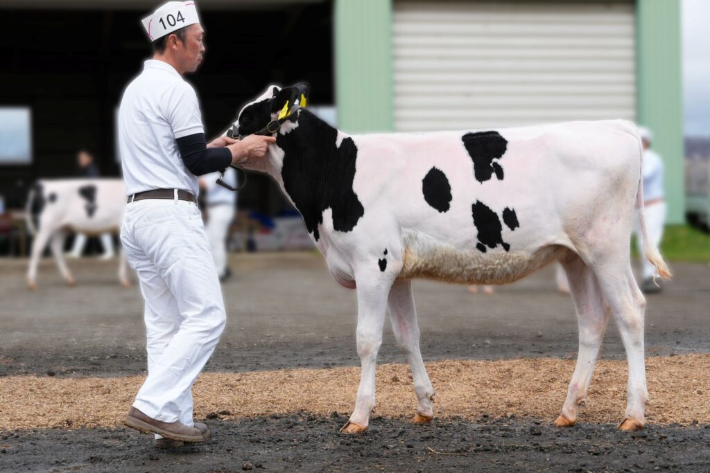ジェネティクス北海道　サラダボーイ娘牛写真　石黒隆行様
