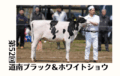 ジェネティクス北海道　第52回道南ブラック&ホワイトショウ
