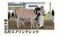ジェネティクス北海道　第43回石狩スプリングショウ