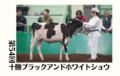 ジェネティクス北海道　第54回十勝ブラックアンドホワイトショウ