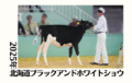ジェネティクス北海道　2025年北海道ブラックアンドホワイトショウ