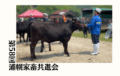 ジェネティクス北海道　第58回浦幌家畜共進会